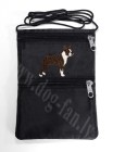 boston tigr copy